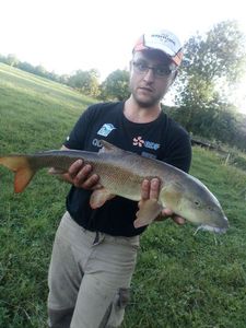 Barbel