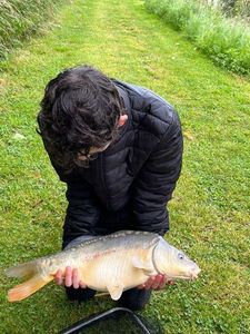 Mirror Carp