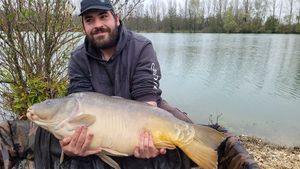 Mirror Carp