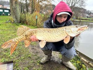 Northern Pike