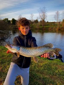 Northern Pike