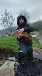 Mirror Carp