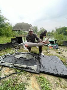 Sturgeon