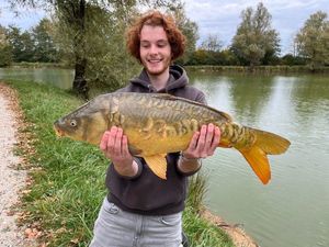 Mirror Carp
