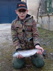 Rainbow Trout