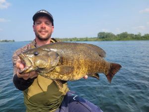 Smallmouth Bass