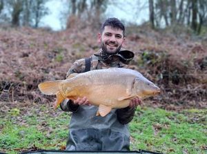 Mirror Carp