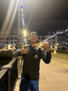 European Bass (Seabass)