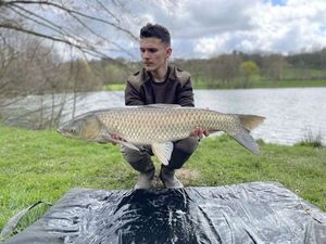 Grass Carp