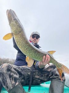 Northern Pike