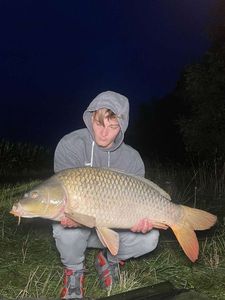 Common Carp