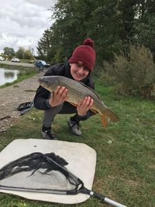 Common Carp