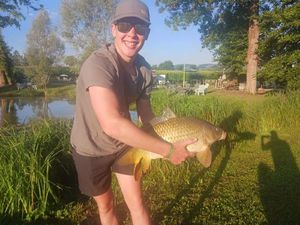 Common Carp