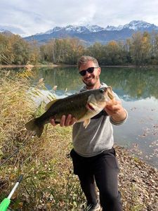 Smallmouth Bass