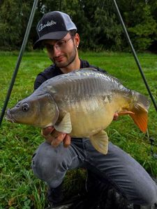 Mirror Carp