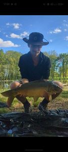 Mirror Carp