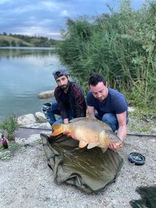 Mirror Carp