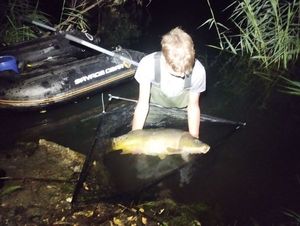 Mirror Carp