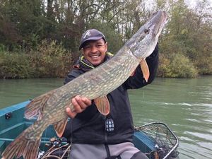 Northern Pike