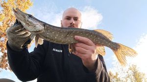 Northern Pike