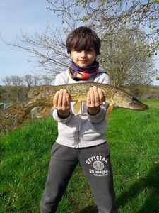 Northern Pike