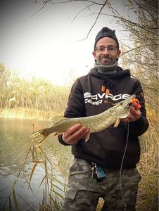 Northern Pike