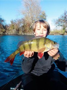 European Perch