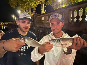 European Bass (Seabass)