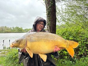 Mirror Carp
