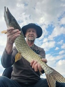 Northern Pike