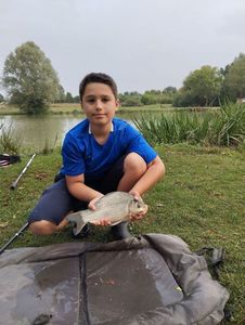 Blue Bream