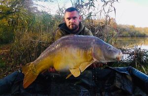 Mirror Carp
