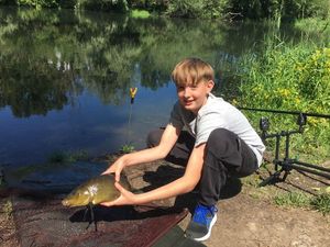Tench