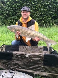 Grass Carp