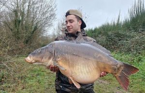 Mirror Carp