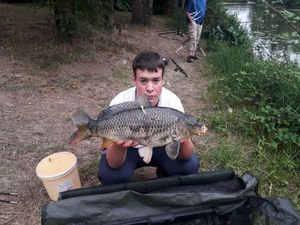 Common Carp