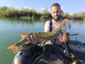 Northern Pike