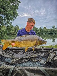 Mirror Carp