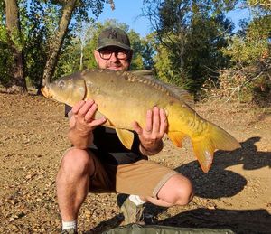 Mirror Carp