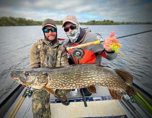 Northern Pike