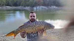 Common Carp