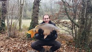 Mirror Carp