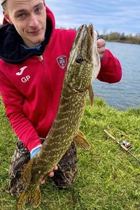 Northern Pike