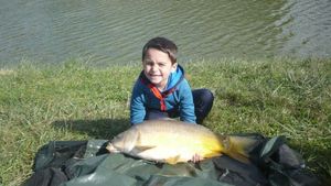 Mirror Carp