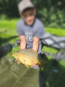 Mirror Carp