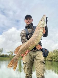 Northern Pike