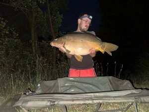Mirror Carp