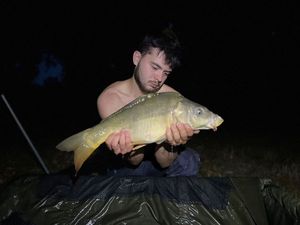 Mirror Carp