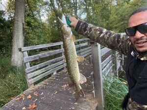 Northern Pike