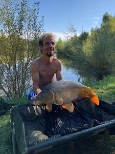 Mirror Carp